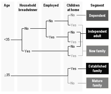 Example of a set of judgment-based questions