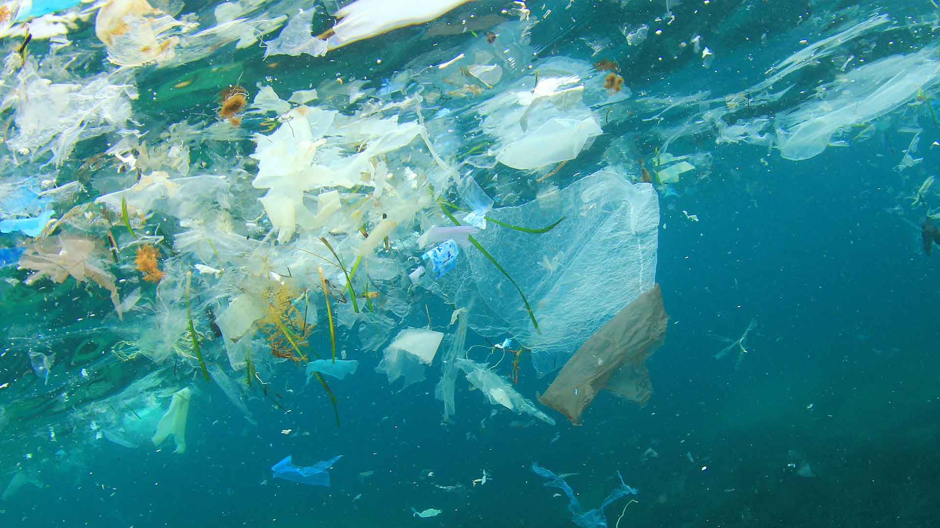 Plastic bags and waste in the ocean