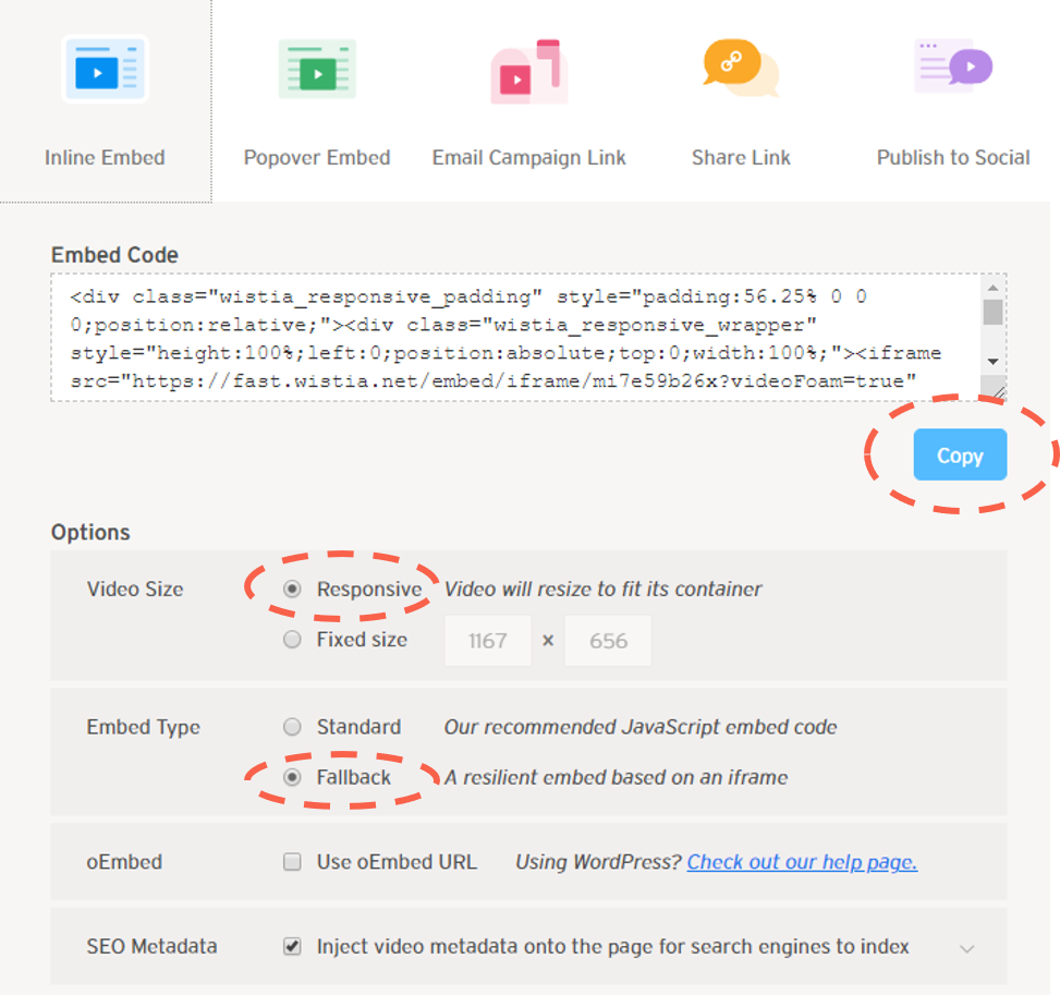 Setting responsive options Wistia