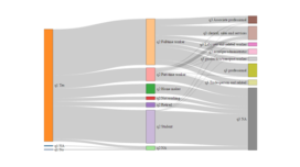 Visualizing Response Patterns and Survey Flow With Sankey Diagrams